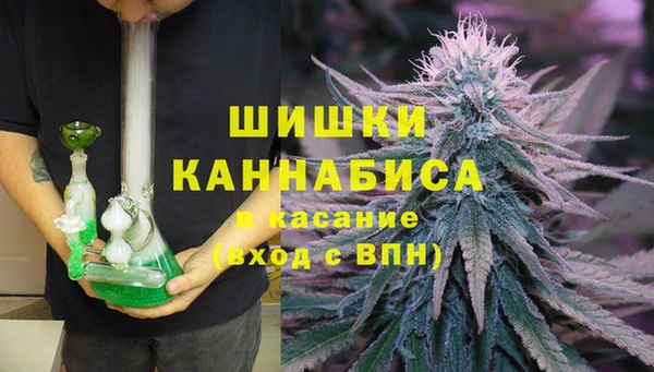мяу мяу кристалл Гусь-Хрустальный