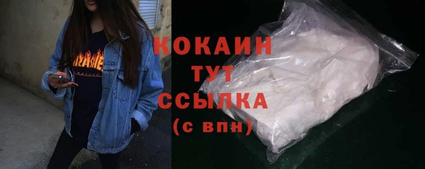 мяу мяу кристалл Гусь-Хрустальный