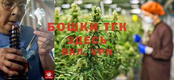 мяу мяу кристалл Гусь-Хрустальный