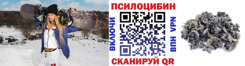 где купить наркоту  Тихвин  Галлюциногенные грибы Psilocybe 